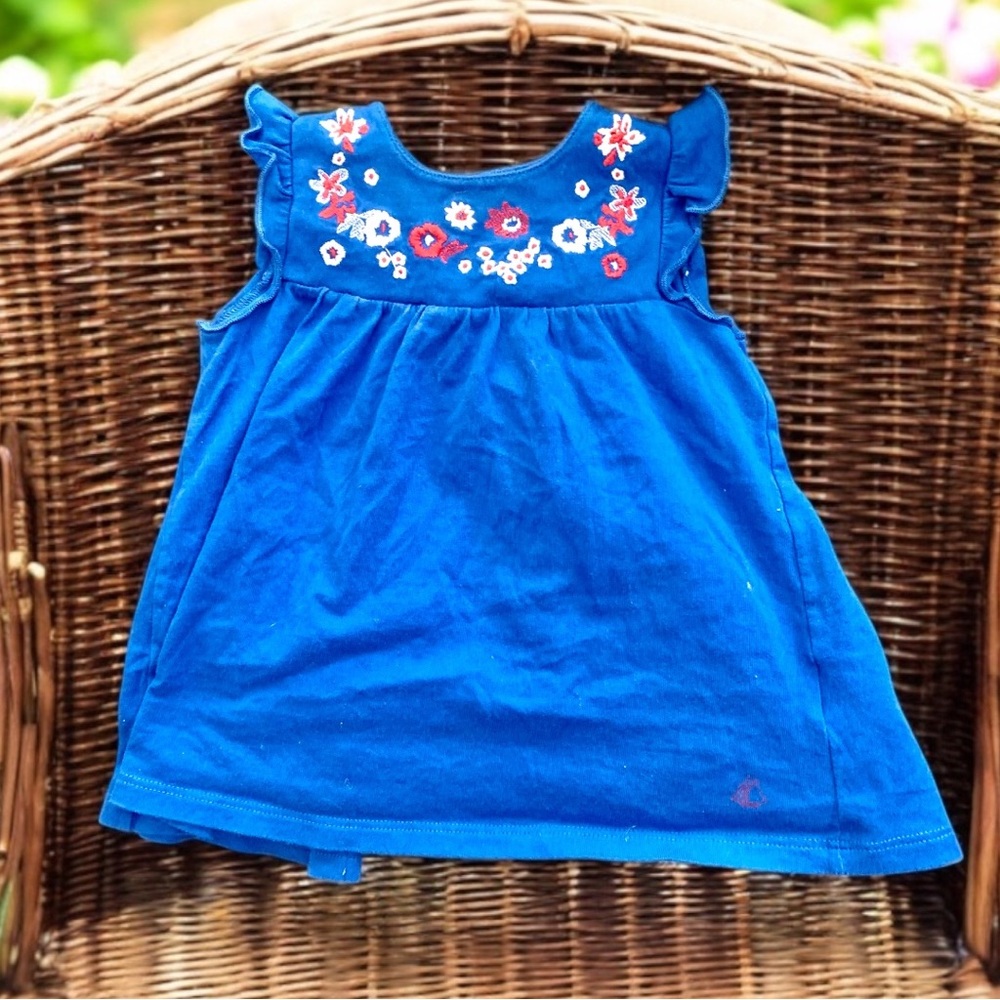 Baby girl 6 months Blue Dress with Floral Embroidery